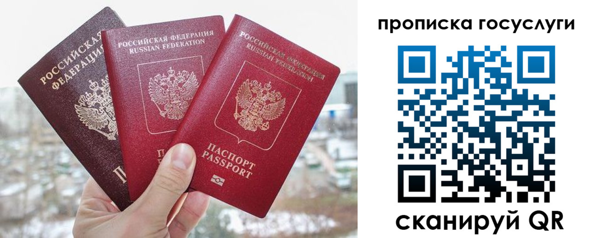 прописка законно в Алексеевке